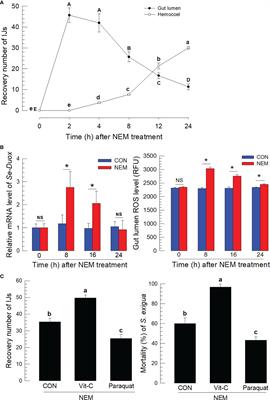 Dorsal switch protein 1 as a damage signal in insect gut immunity to activate dual oxidase via an eicosanoid, PGE2